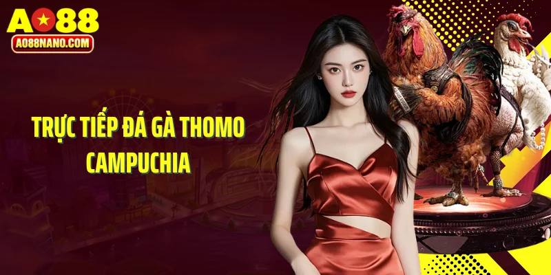 Trực tiếp đá gà Thomo Campuchia
