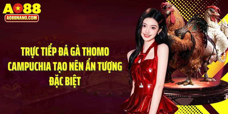 Trực tiếp đá gà Thomo Campuchia tạo nên ấn tượng đặc biệt