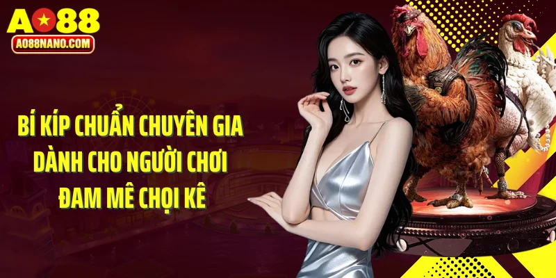 Bí kíp chuẩn chuyên gia dành cho người chơi đam mê chọi kê