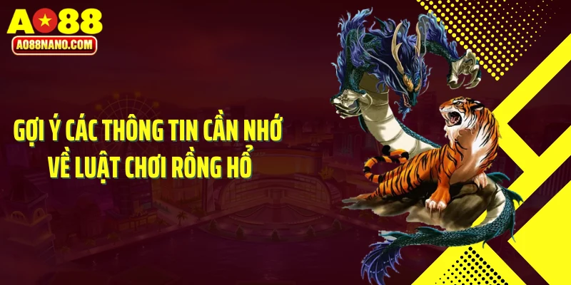 Gợi ý các thông tin cần nhớ về luật chơi Rồng Hổ